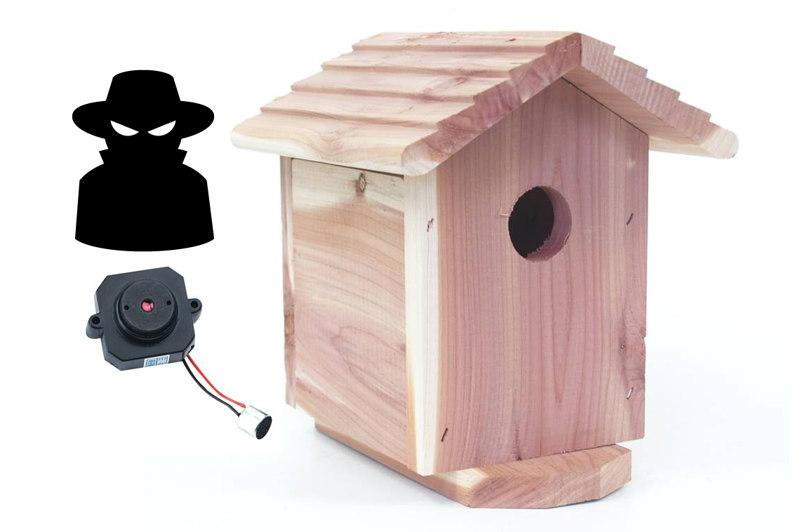 Spy Camera for home